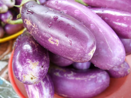 aubergine_nadi_fiji