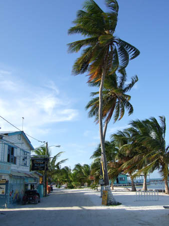 uferstrasse1_caye_caulker_belize