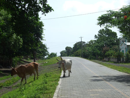 hauptstrasse_charco_verde_ometepe_nic