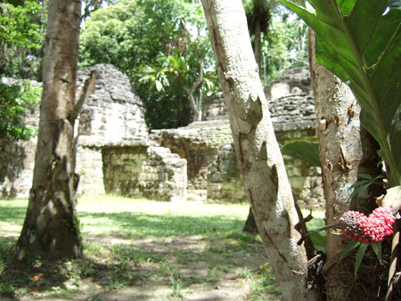 mayatempel07_flores_tikal_guat