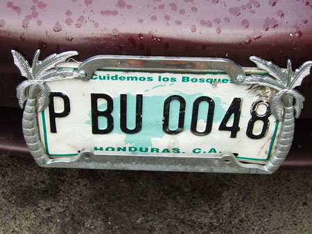 palmennummernschild_la_ceiba_hondu