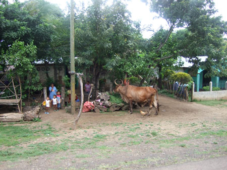 familienleben_nach nicaragua