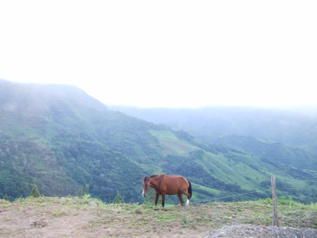 muehsames_weiden_busnachnicaragua