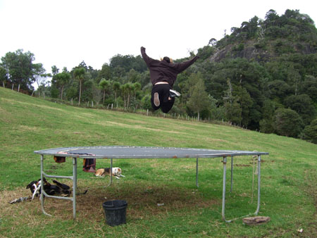 trampolin_wwoof1_kaikohe