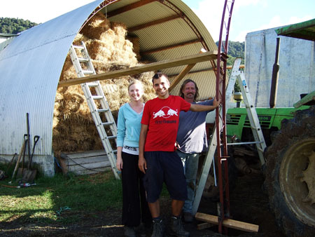 scheunebauen3_wwoof1_kaikohe