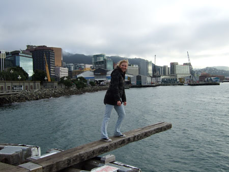 schiffsplanke1_wellington_nz